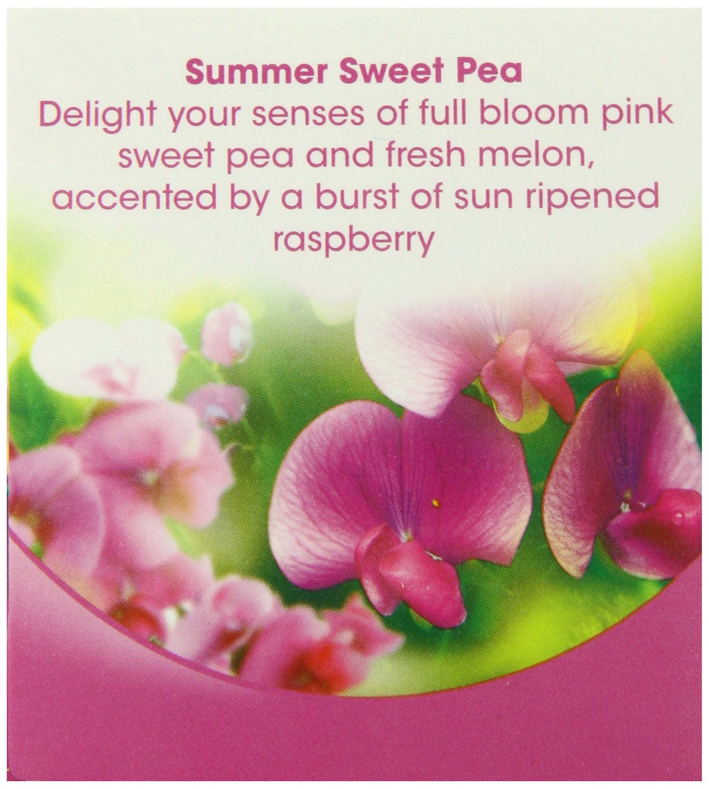 Air Wick Frosted Scented Candle, Summer Sweet Pea Scent, 3.5 Ounce (Pack of 6)
